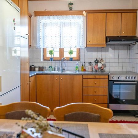 Zagori Home Monodendri Eksteriør bilde
